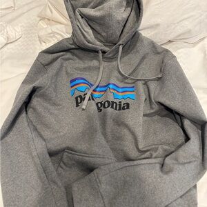 Patagonia Gray Hoodie with Blue and Purple Accents